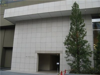 The Toyosu Tower, Japan (12)