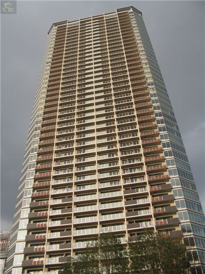 The Toyosu Tower, Japan (19)