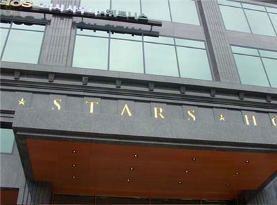 The Seoul Stars Hotel  (3)