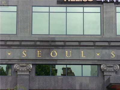 The Seoul Stars Hotel  (7)