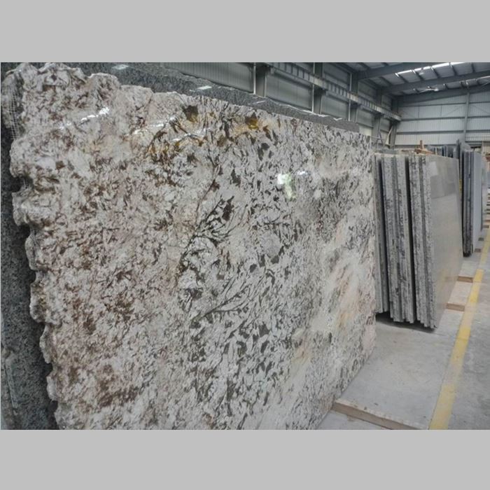 Brazil Branco Venus Granite Slabs price