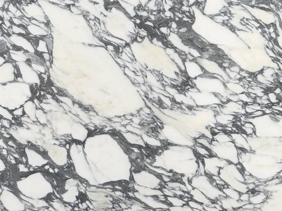 Arabescato Marble Slab Factory