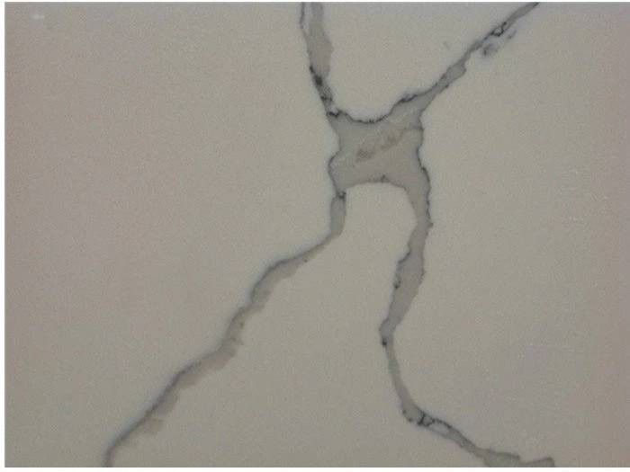 Small Veins of White Calacatta Quartz