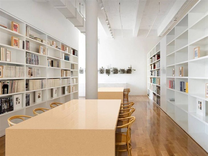 Quartz Slabs Library Countertops