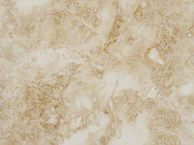 Cappuccino Marble Slab Supplier Cappuccino Marble Slab Supplier