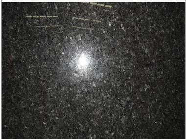 Angola Black Granite Countertops
