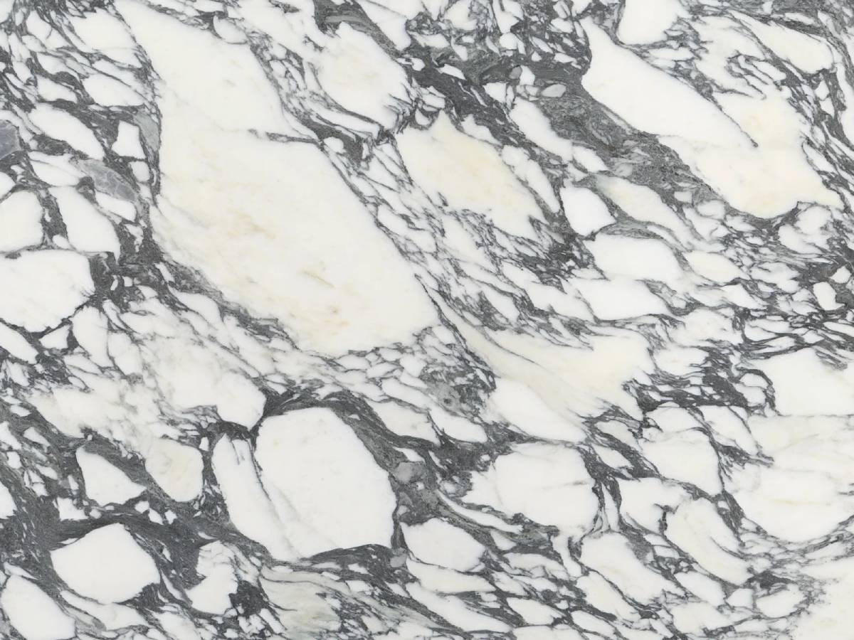 Arabescato Marble Slab Factory Arabescato Marble Slab Factory