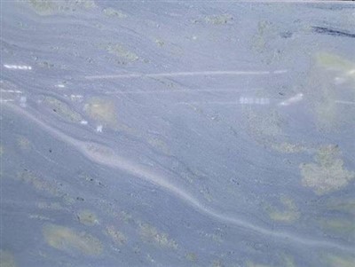 Blue Celeste Marble Slab